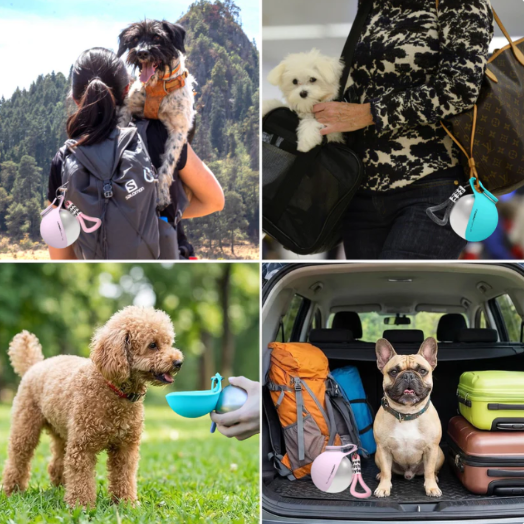 Pawdog™ Travel-Friendly Portable Dog Water Bottle